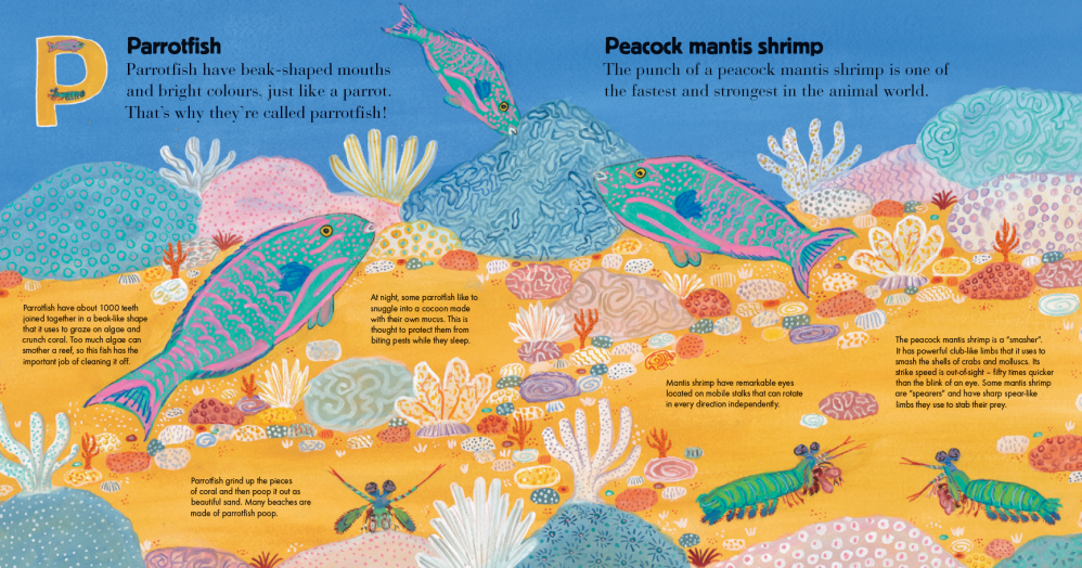 A is for Australian Reefs by Frané Lessac